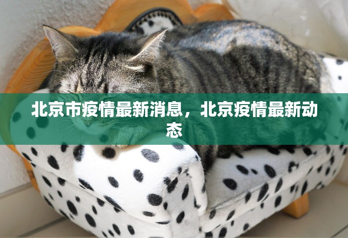 北京市疫情最新消息，北京疫情最新动态