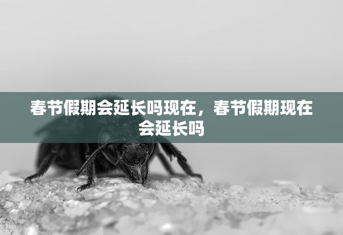 一分钟介绍“微信群炸拼十如何创建房间”详细房卡使用教程-哔哩哔哩