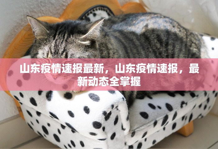 上海新增2例社会面确诊，上海新增2例社会面确诊