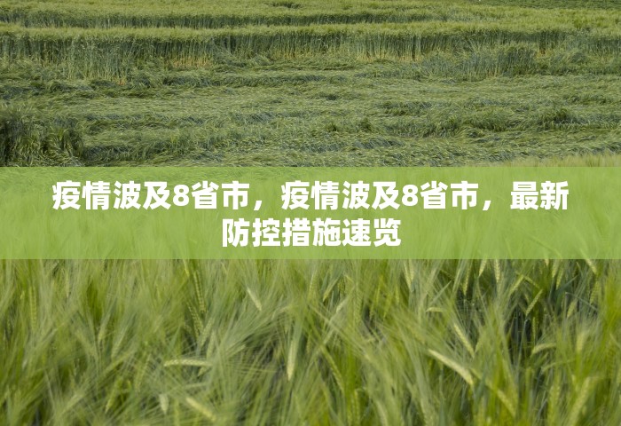疫情波及8省市，疫情波及8省市，最新防控措施速览