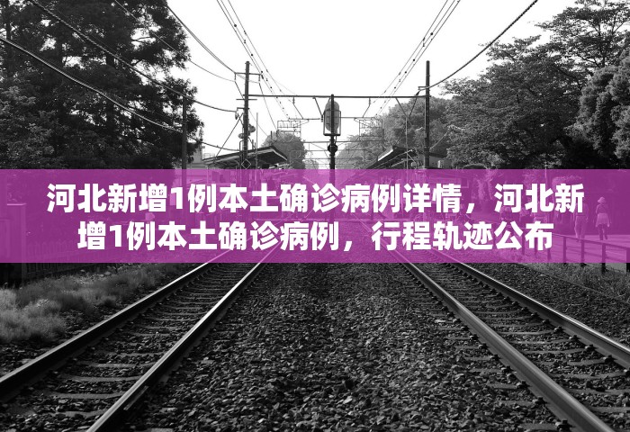 新疆新增本土31例，新疆新增本土31例