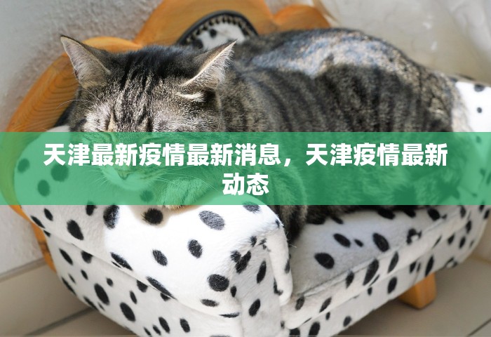 北京限号2021年3月最新限号，北京2021年3月最新限号安排