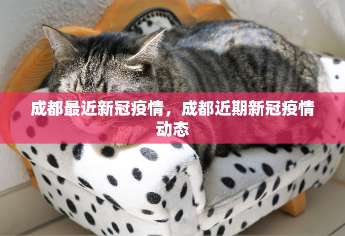 成都最近新冠疫情，成都近期新冠疫情动态