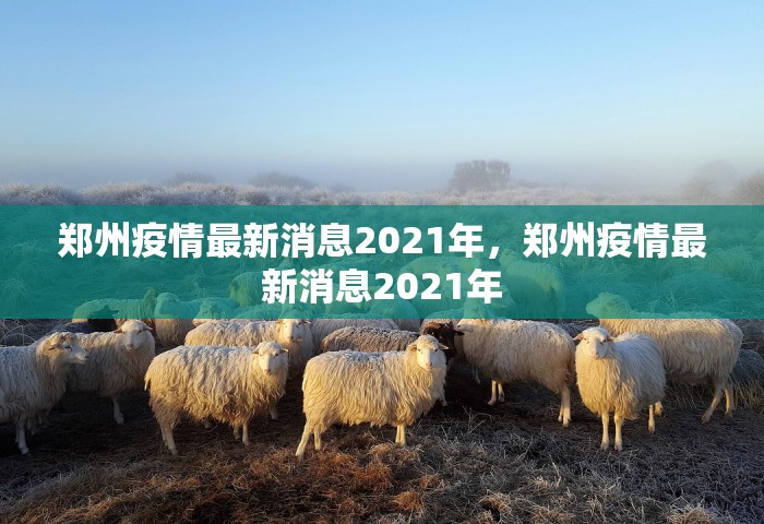 郑州疫情最新消息2021年，郑州疫情最新消息2021年