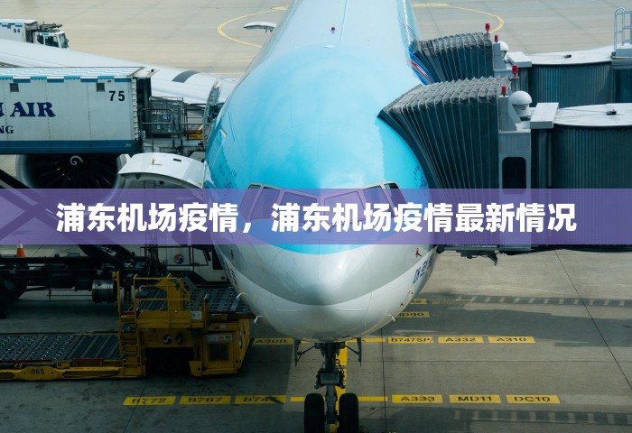 浦东机场疫情	，浦东机场疫情最新情况