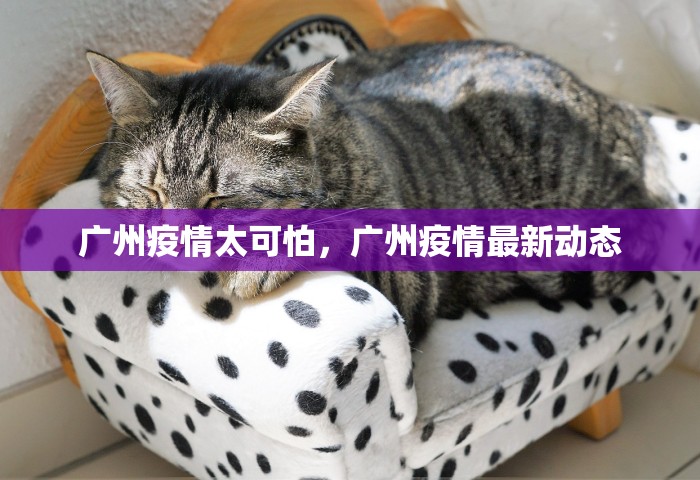 广州疫情太可怕，广州疫情最新动态