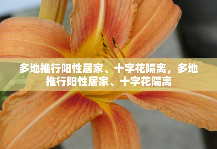 广州12例感染者详情，广州12例感染者详情公布