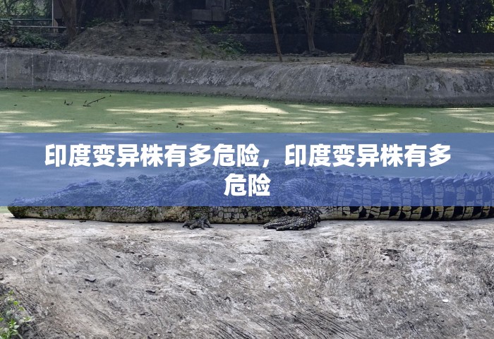 印度变异株有多危险，印度变异株有多危险
