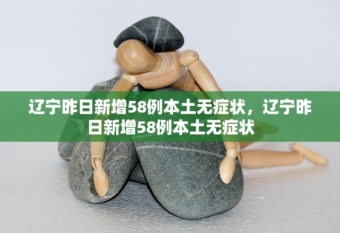 辽宁昨日新增58例本土无症状，辽宁昨日新增58例本土无症状