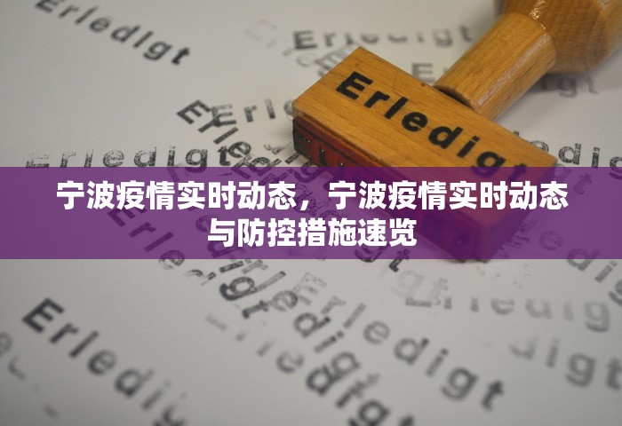 宁波疫情实时动态，宁波疫情实时动态与防控措施速览