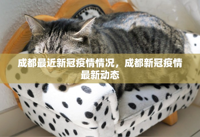 成都最近新冠疫情情况，成都新冠疫情最新动态