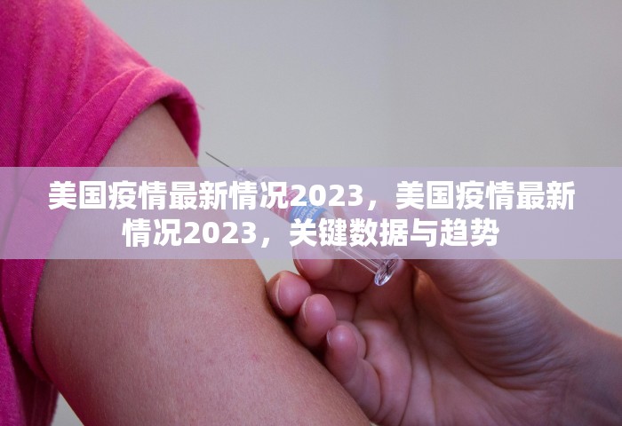 美国疫情最新情况2023，美国疫情最新情况2023，关键数据与趋势
