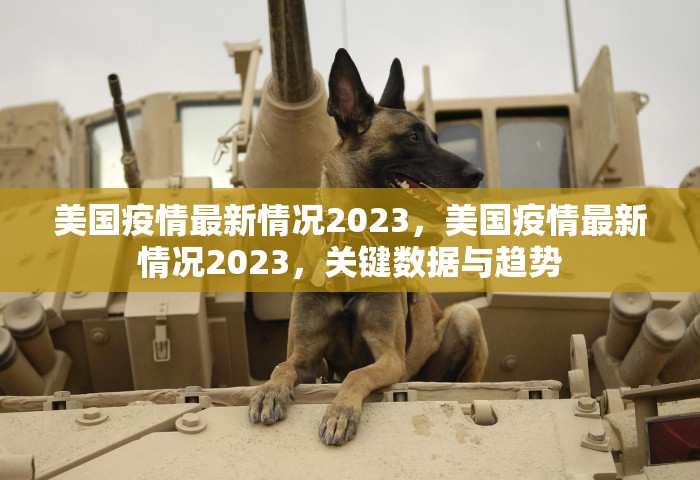 美国疫情最新情况2023，美国疫情最新情况2023，关键数据与趋势