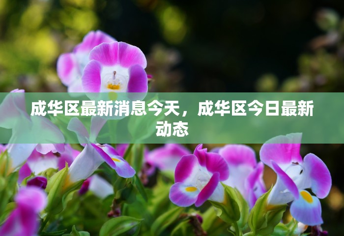 最新辽宁鞍山海城疫情，辽宁鞍山海城最新疫情通报
