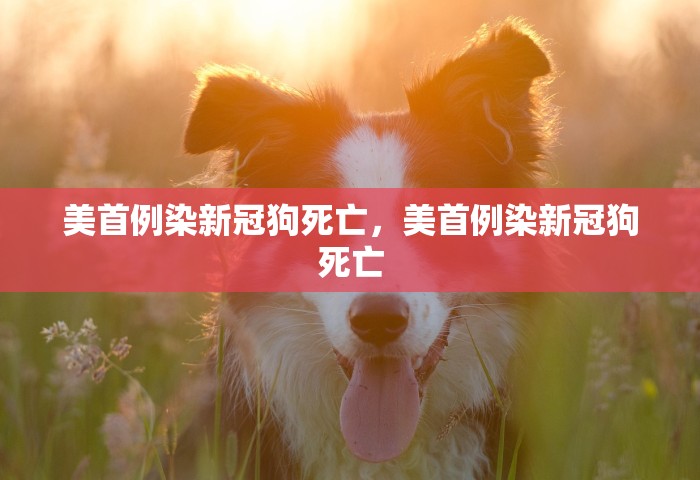 31省份新增本土确诊13例 江苏6例，31省份新增本土确诊13例 江苏6例