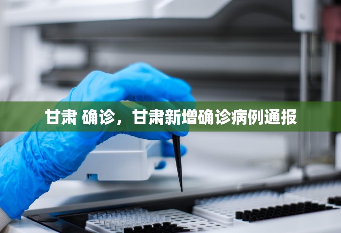 甘肃 确诊，甘肃新增确诊病例通报
