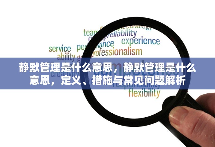 静默管理是什么意思	，静默管理是什么意思，定义、措施与常见问题解析