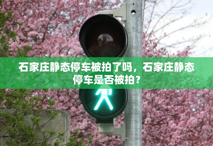 石家庄静态停车被拍了吗，石家庄静态停车是否被拍？