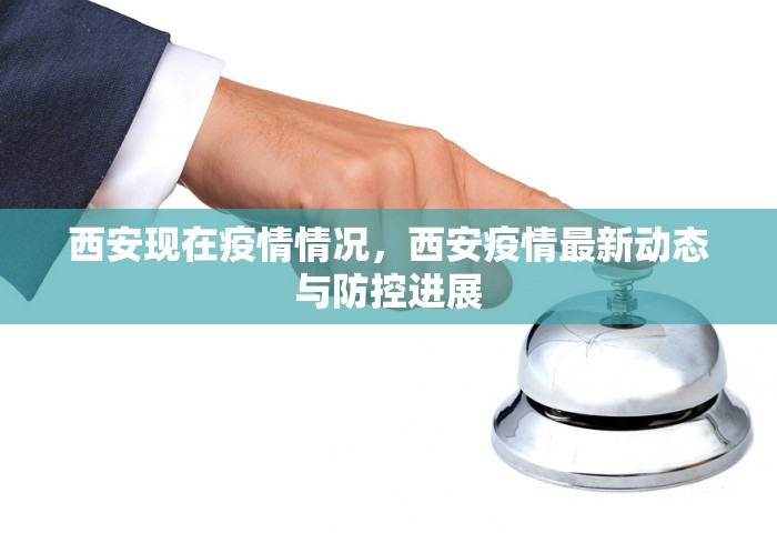 西安现在疫情情况，西安疫情最新动态与防控进展