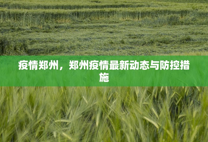 疫情郑州	，郑州疫情最新动态与防控措施