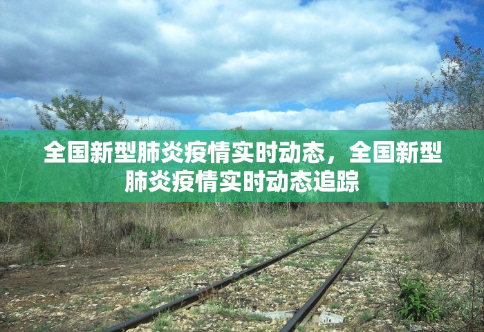 全国新型肺炎疫情实时动态，全国新型肺炎疫情实时动态追踪