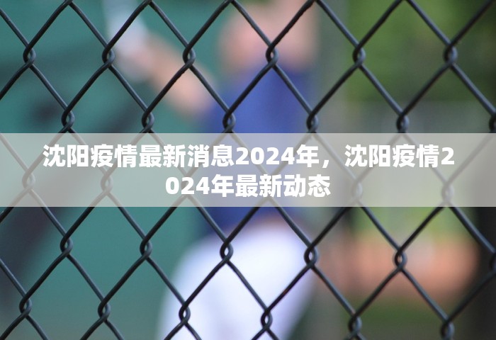 31省新增59例本土确诊	，31省新增59例本土确诊