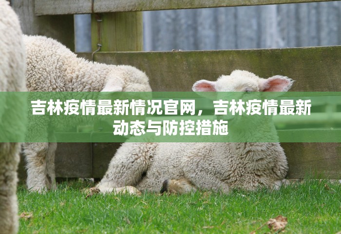 吉林疫情最新情况官网，吉林疫情最新动态与防控措施