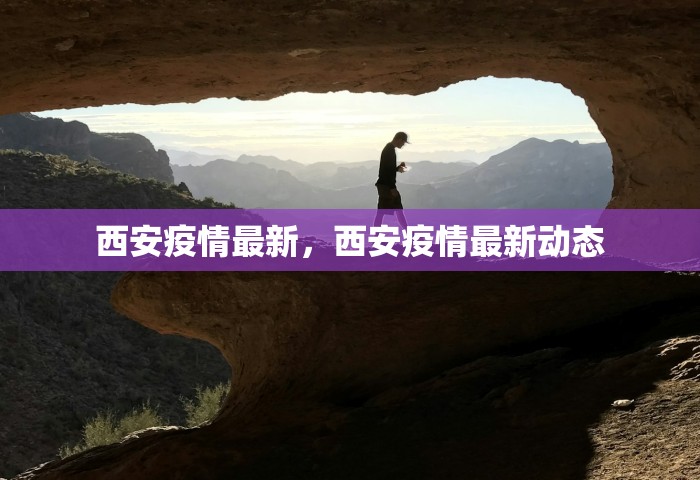 西安疫情最新，西安疫情最新动态