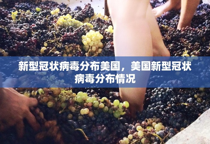 新型冠状病毒分布美国	，美国新型冠状病毒分布情况