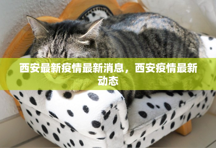 西安最新疫情最新消息，西安疫情最新动态