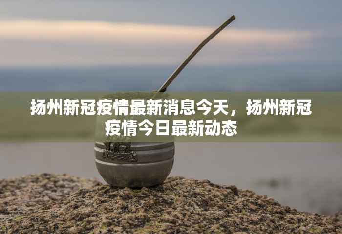 扬州新冠疫情最新消息今天，扬州新冠疫情今日最新动态