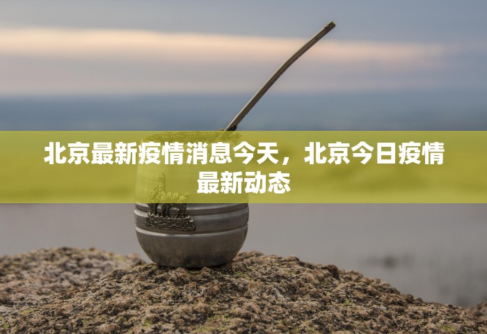北京最新疫情消息今天，北京今日疫情最新动态