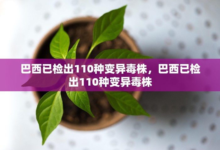 巴西已检出110种变异毒株，巴西已检出110种变异毒株