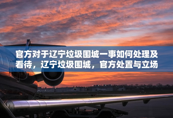 官方对于辽宁垃圾围城一事如何处理及看待，辽宁垃圾围城，官方处置与立场