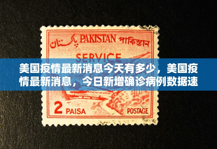 美国疫情最新消息今天有多少，美国疫情最新消息，今日新增确诊病例数据速览