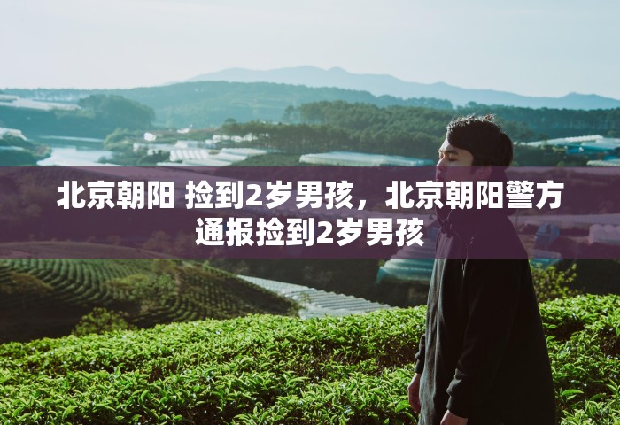北京朝阳 捡到2岁男孩，北京朝阳警方通报捡到2岁男孩
