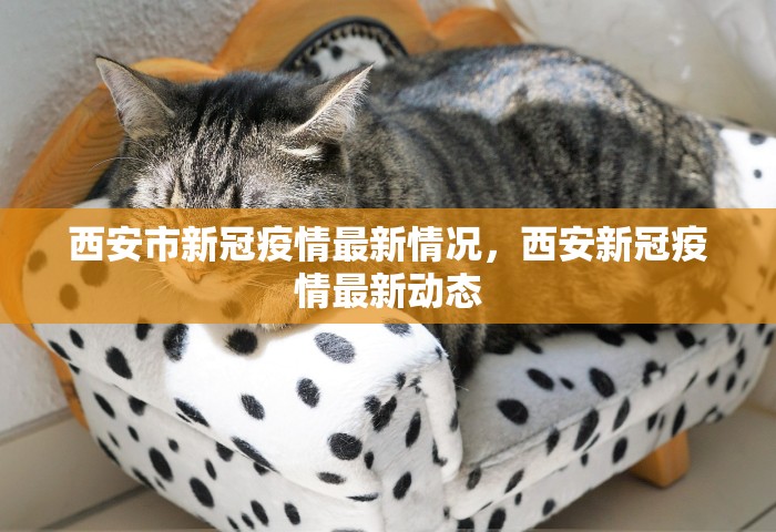 西安市新冠疫情最新情况，西安新冠疫情最新动态