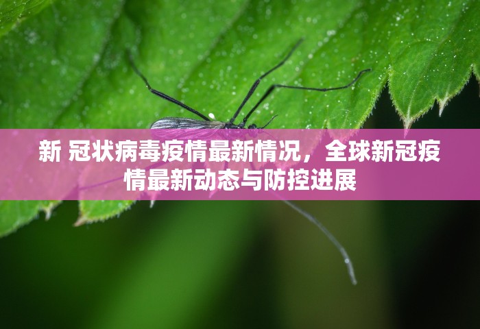 新 冠状病毒疫情最新情况，全球新冠疫情最新动态与防控进展