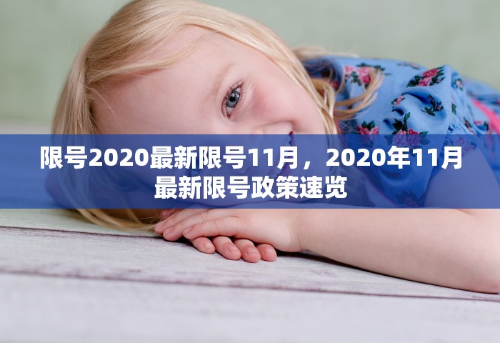 限号2020最新限号11月	，2020年11月最新限号政策速览
