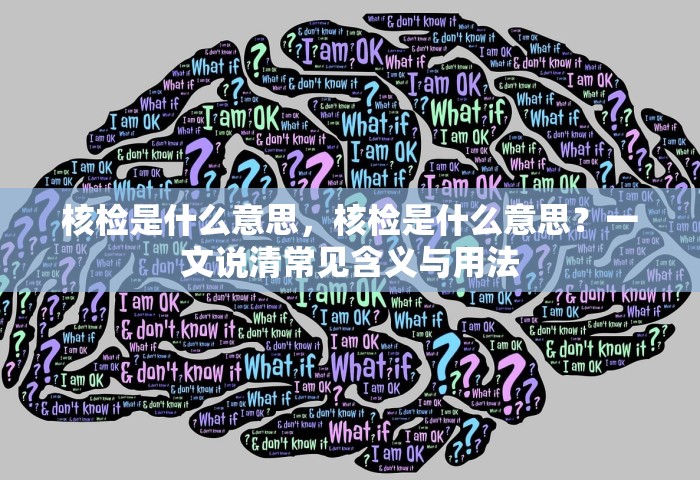 核检是什么意思，核检是什么意思？一文说清常见含义与用法