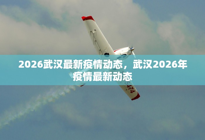 2026武汉最新疫情动态，武汉2026年疫情最新动态