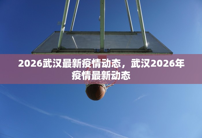 2026武汉最新疫情动态，武汉2026年疫情最新动态