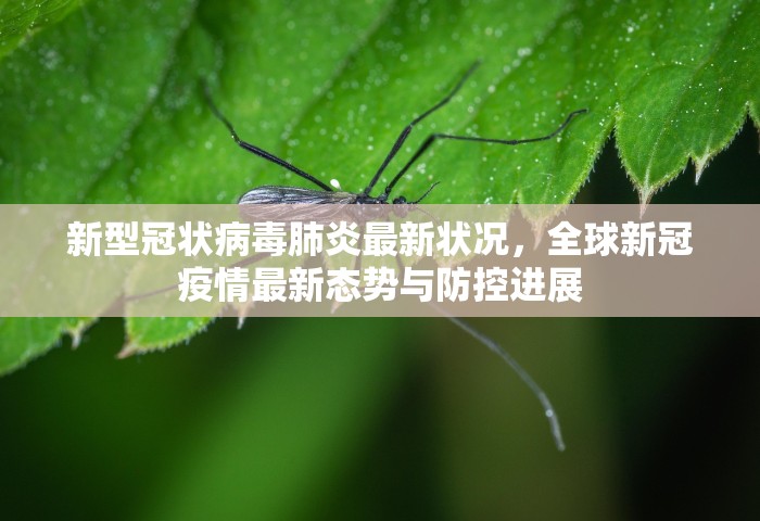 新型冠状病毒肺炎最新状况，全球新冠疫情最新态势与防控进展