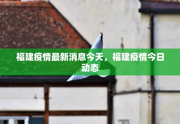 福建疫情最新消息今天，福建疫情今日动态