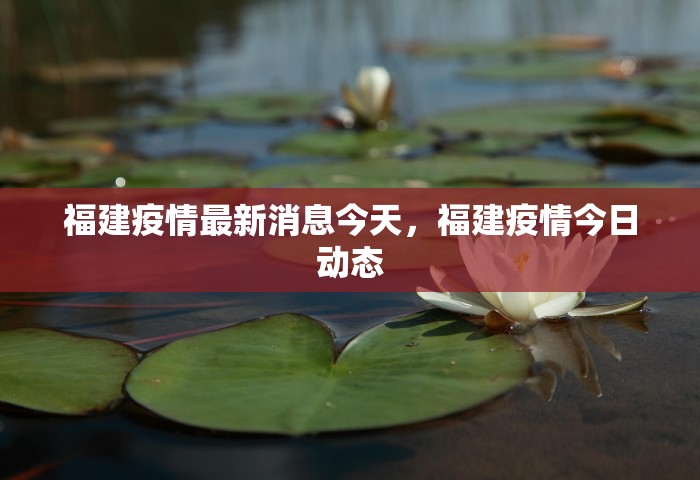福建疫情最新消息今天，福建疫情今日动态