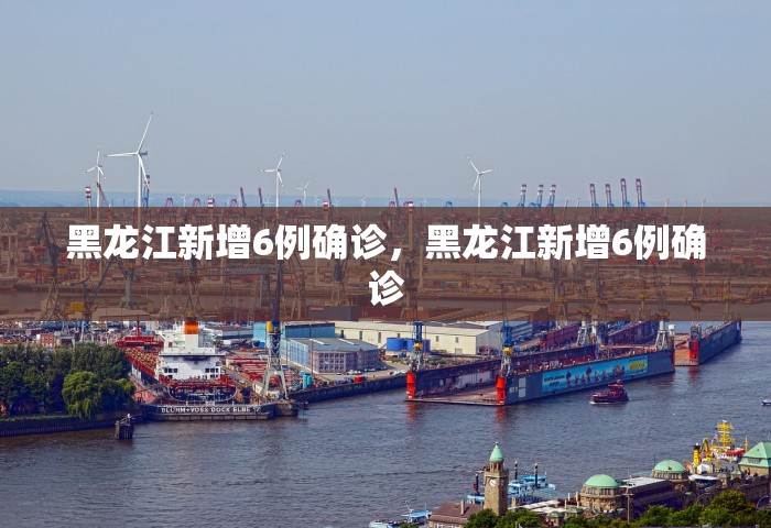 黑龙江新增6例确诊	，黑龙江新增6例确诊